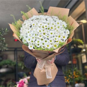 Belek Florist - Daisy & Gerbera