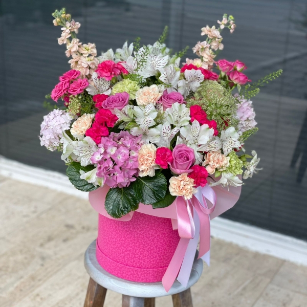  Belek Çiçekçiler - Ortanca Kutusu