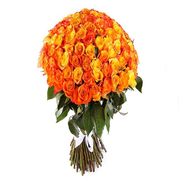  Belek Çiçek - 101 Adet Turuncu Gül 