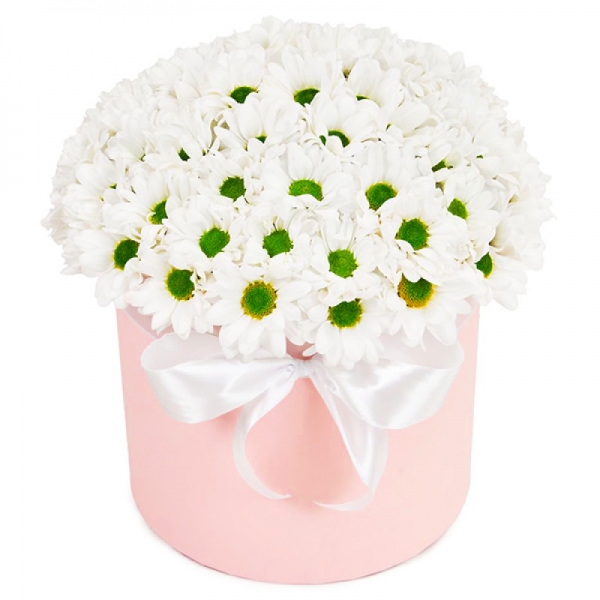  Belek Çiçek - Hava öpücüğü