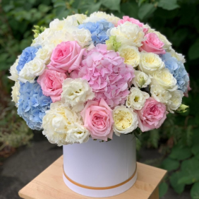  Belek Flower Delivery Delicate hydrangea love