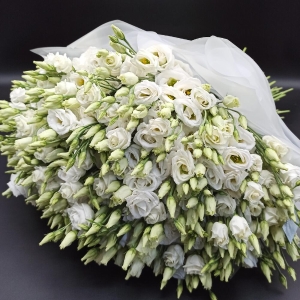  Belek Çiçek Gönder - 51 Dal Lisyantus Buketi