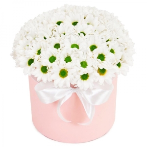  Belek Çiçekçiler - Parlak renkler