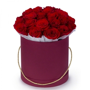  Belek Çiçekçiler - Delici bakış