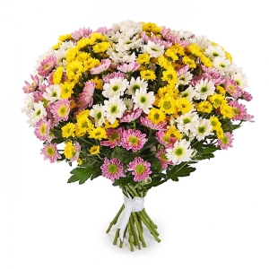 Belek Çiçekçi - 31 Adet Papatya